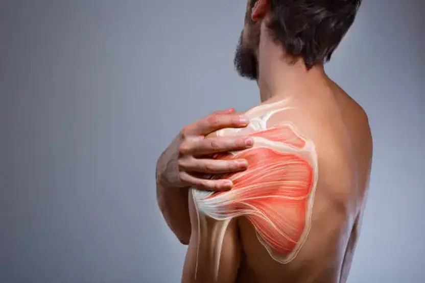 Omuz Ağrısı Neden Olur? Fizyoterapi ve Doğru Egzersiz Rehberi